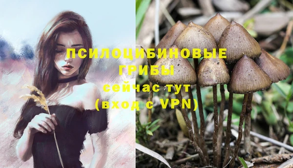 mix Горнозаводск