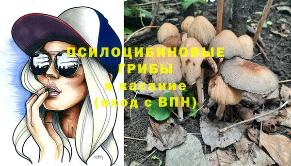 прущая мука Горно-Алтайск