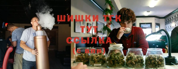 mix Горнозаводск