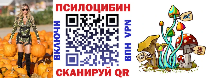 сколько стоит  Кропоткин  это формула  Галлюциногенные грибы Psilocybine cubensis 