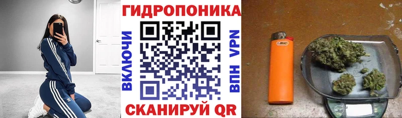 Каннабис LSD WEED гидра ссылки Кропоткин где купить наркоту